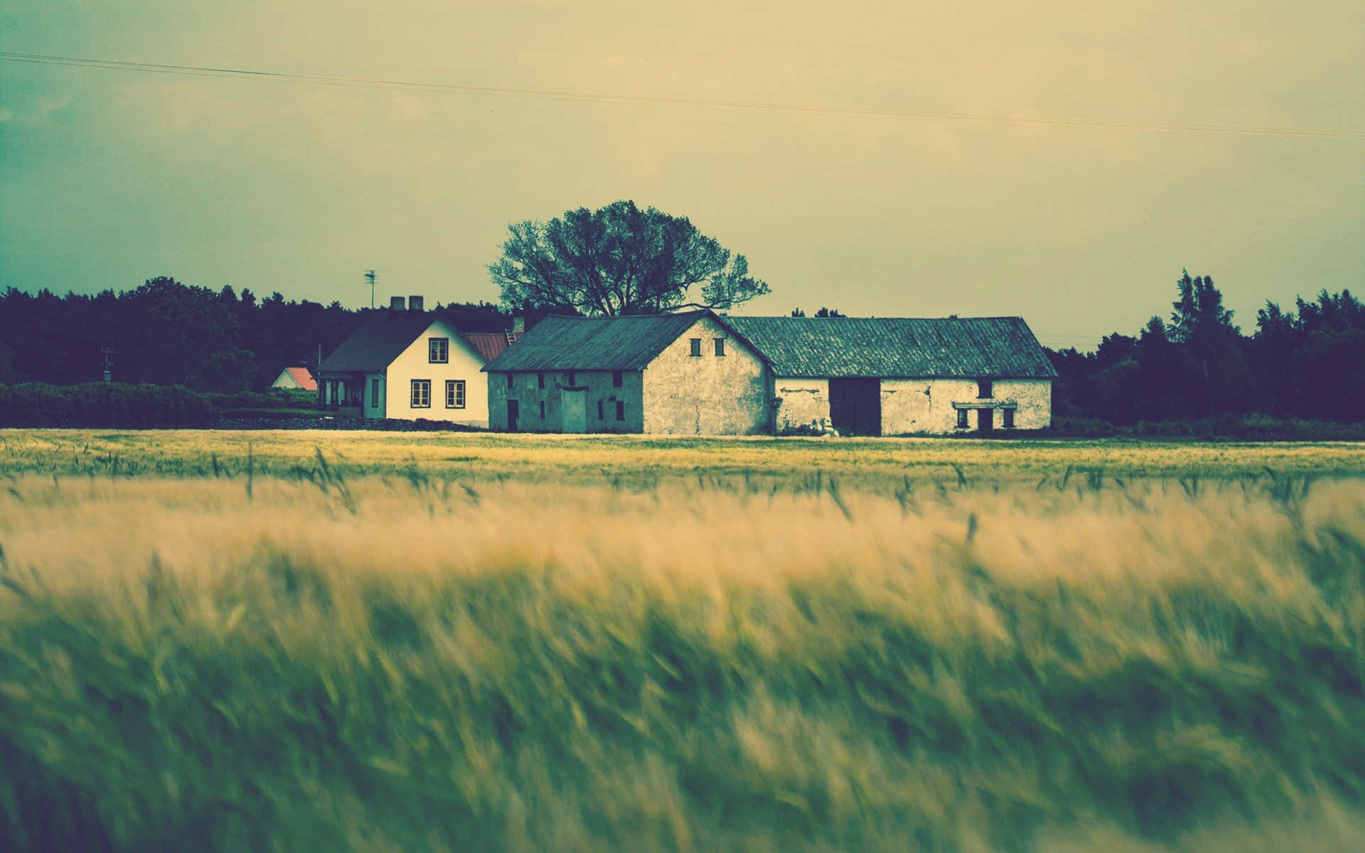 Farmhouse Desktop Wallpaper