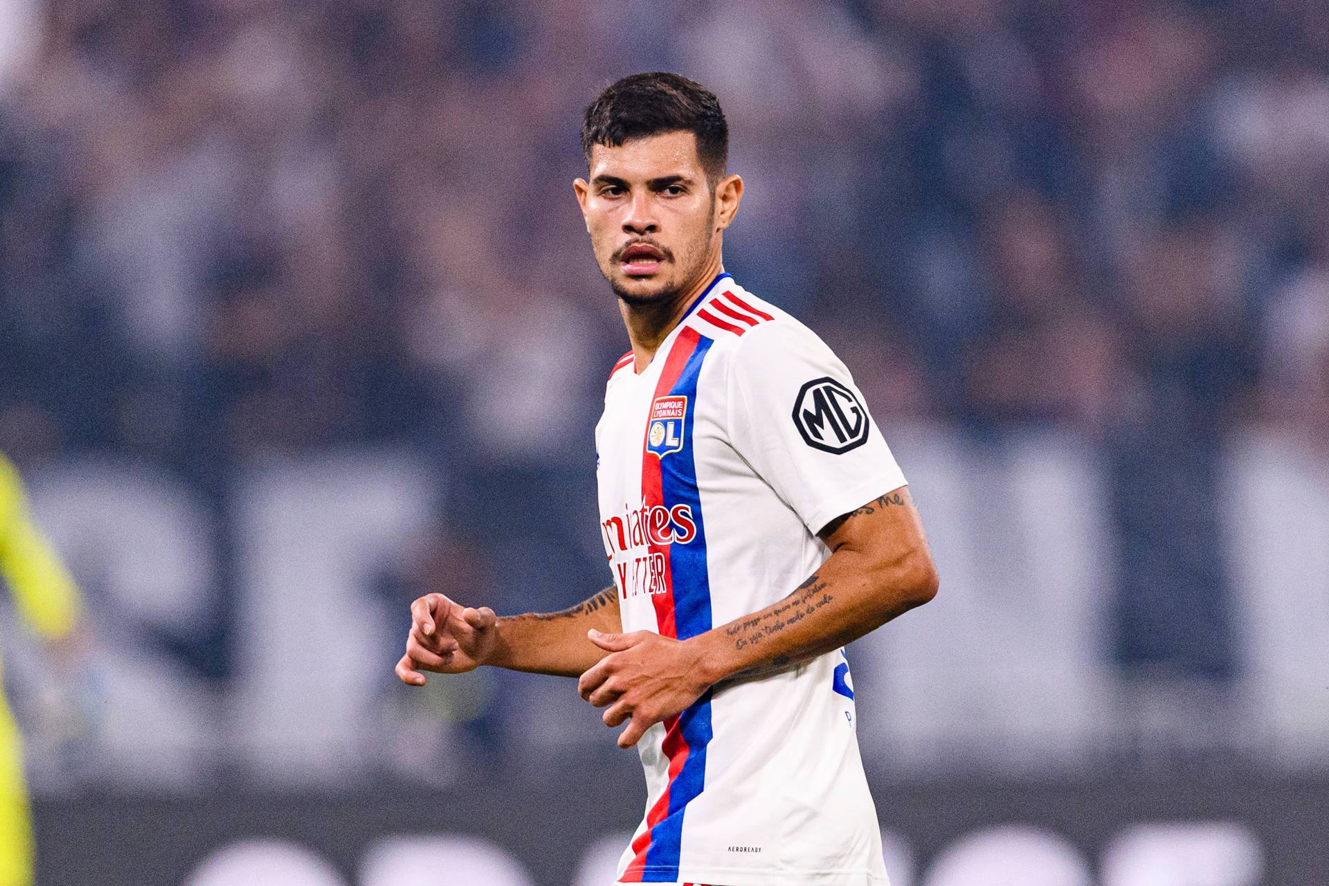 Bruno Guimar Es Glance Wallpaper