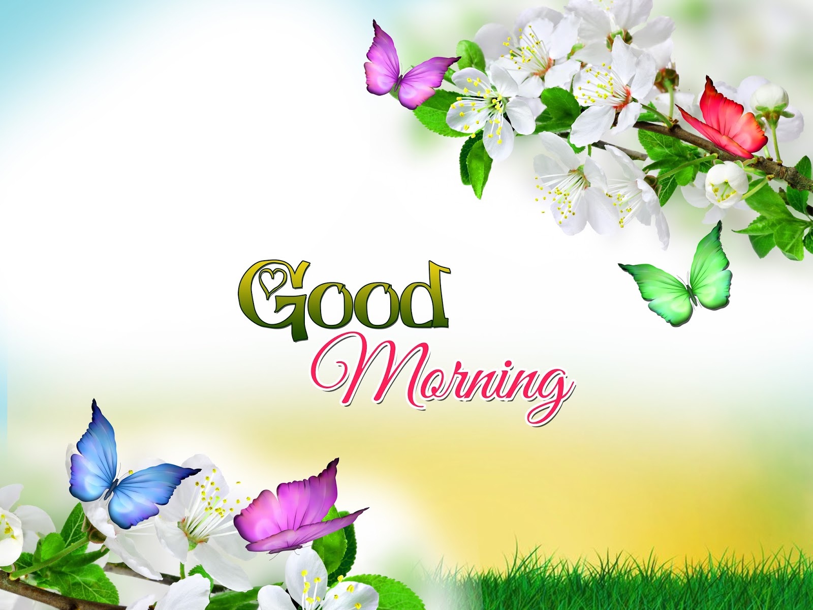 Good Morning Wishes To Friends And Family Wallpaper HD