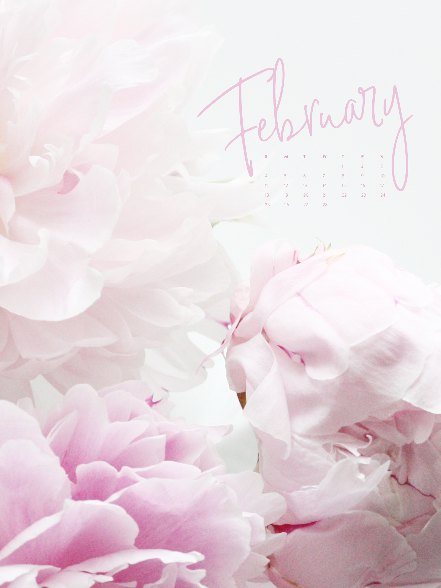 February Wallpaper Phone Tablet Desktop Ashlee Proffitt