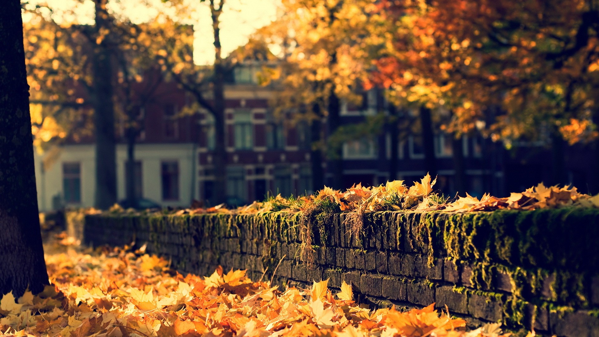 Fall Landscape Wallpaper HD Desktop And Mobile Background
