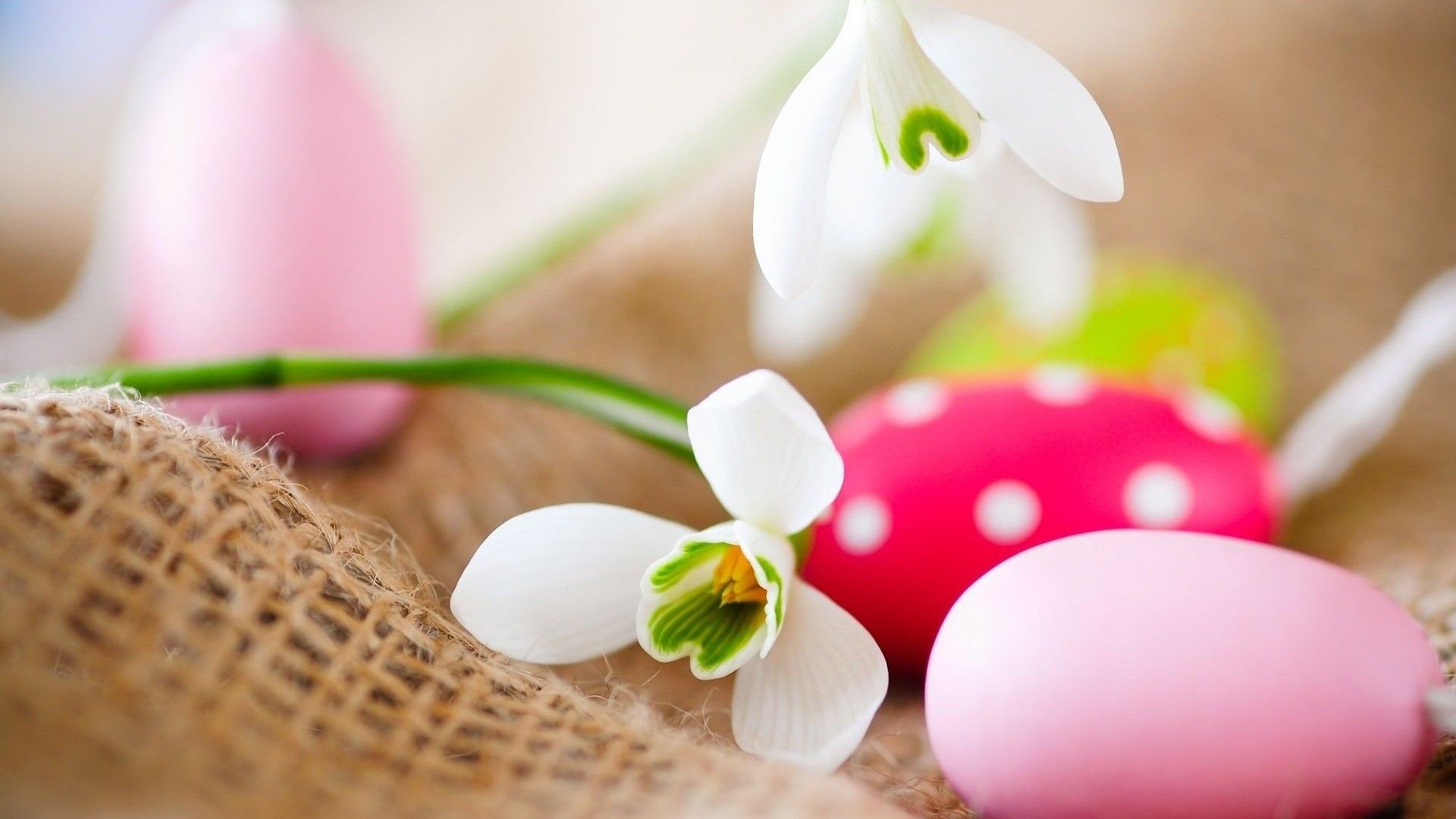 A Collection Of Easter HD Wallpaper To Get You In The