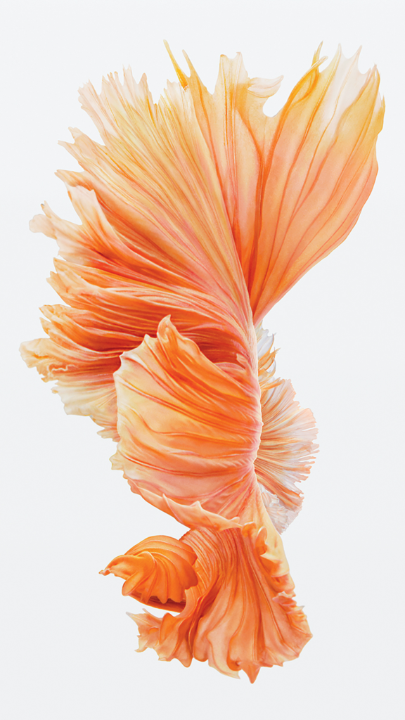 iPhone 6s still wallpaper images 576x1024