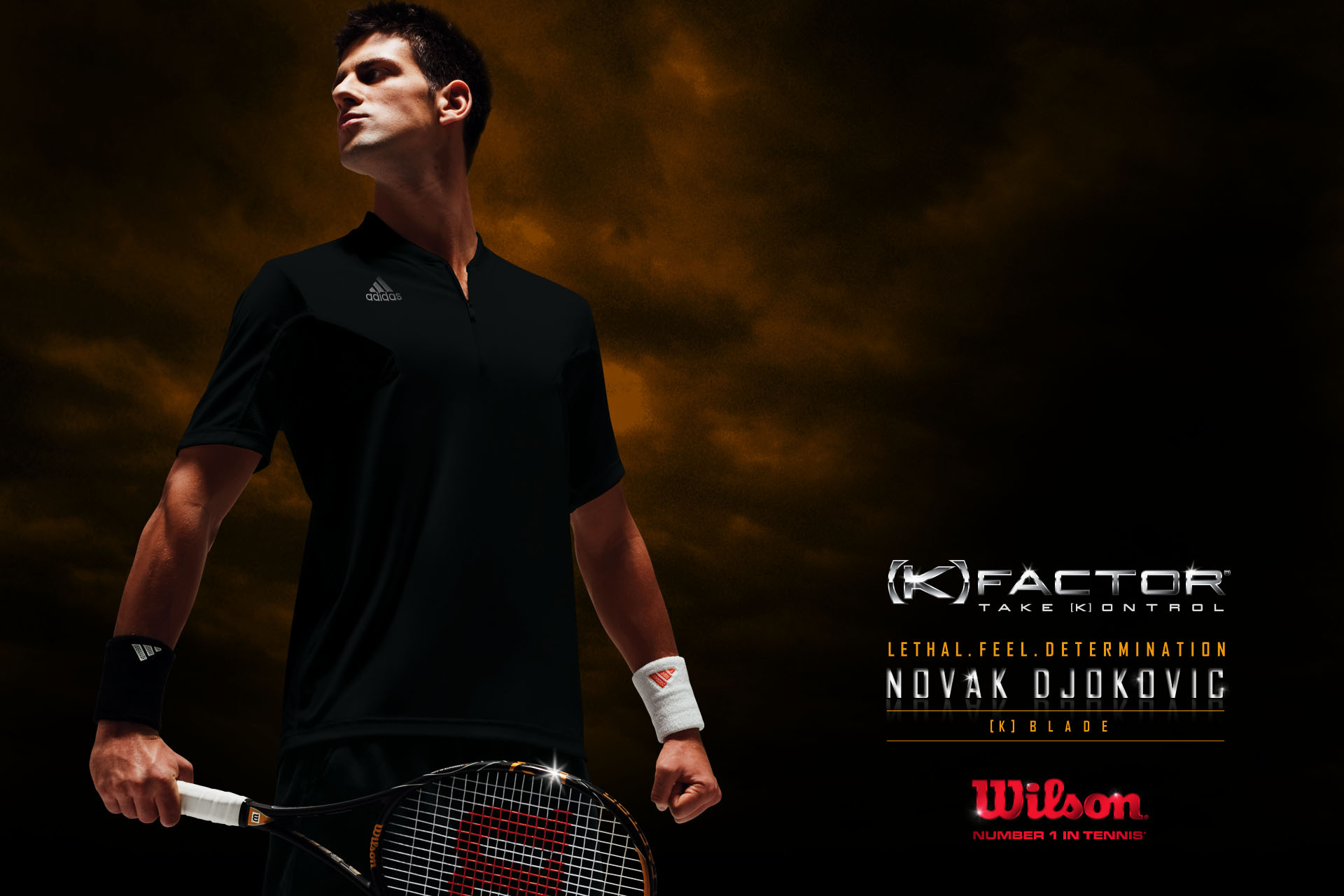 Tennis Novak Djokovic Wallpaper Sport