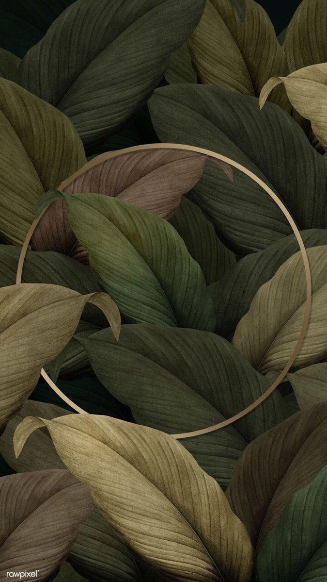 Green Aesthetic Wallpaper WallpaperBackground Leaf