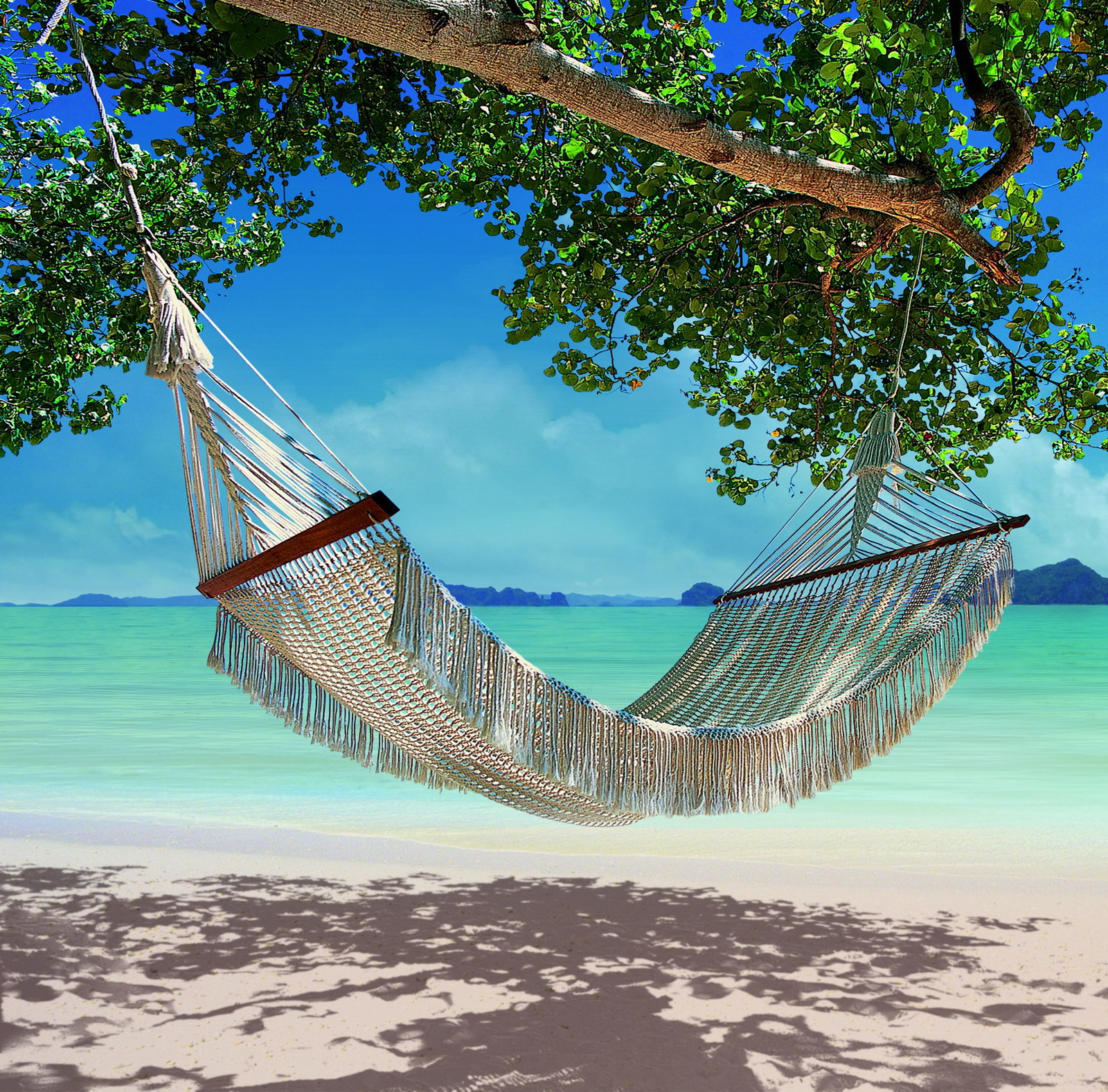 Hammock On The Beach