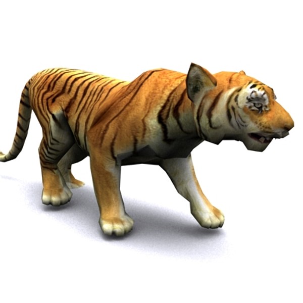 [49+] Animated Tiger Wallpaper on WallpaperSafari