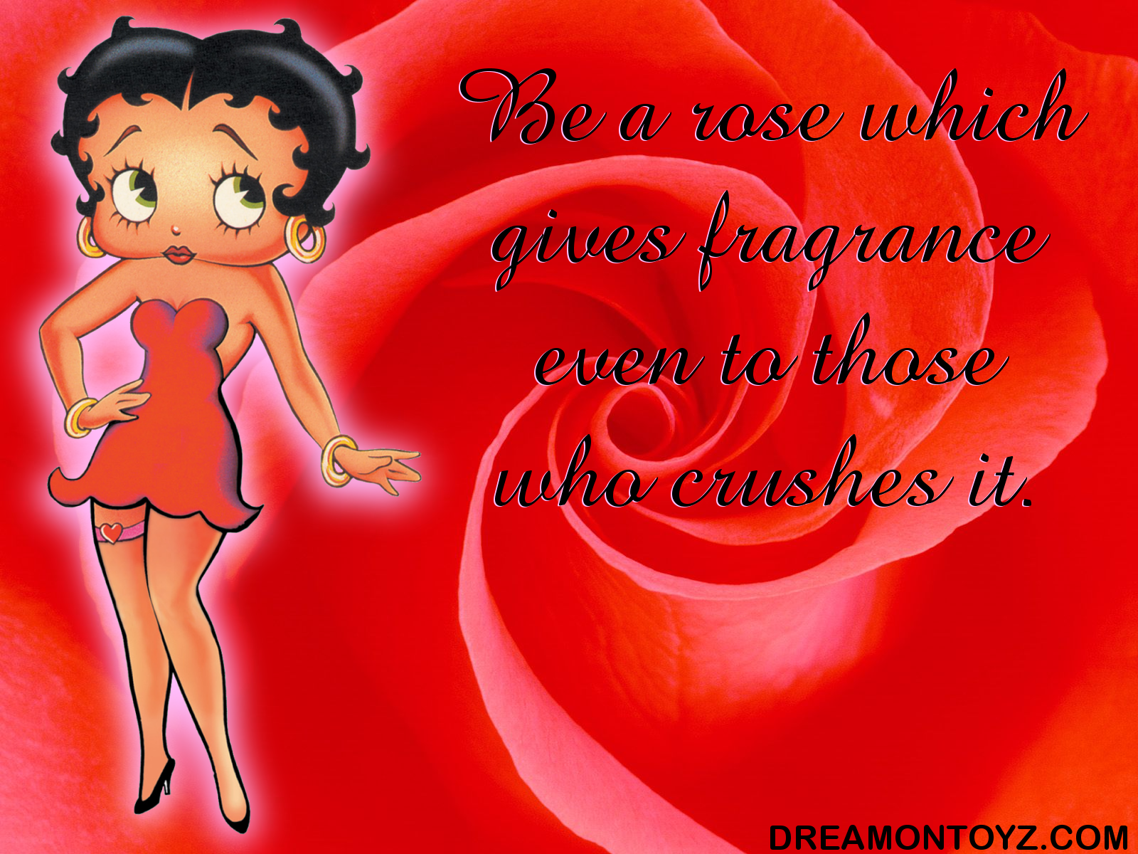 Betty Boop Pictures Archive Rose Background And