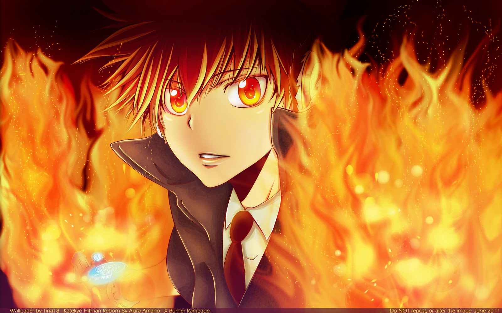 Katekyo Hitman Reborn Tsuana Flame Anime HD Wallpaper Desktop Pc