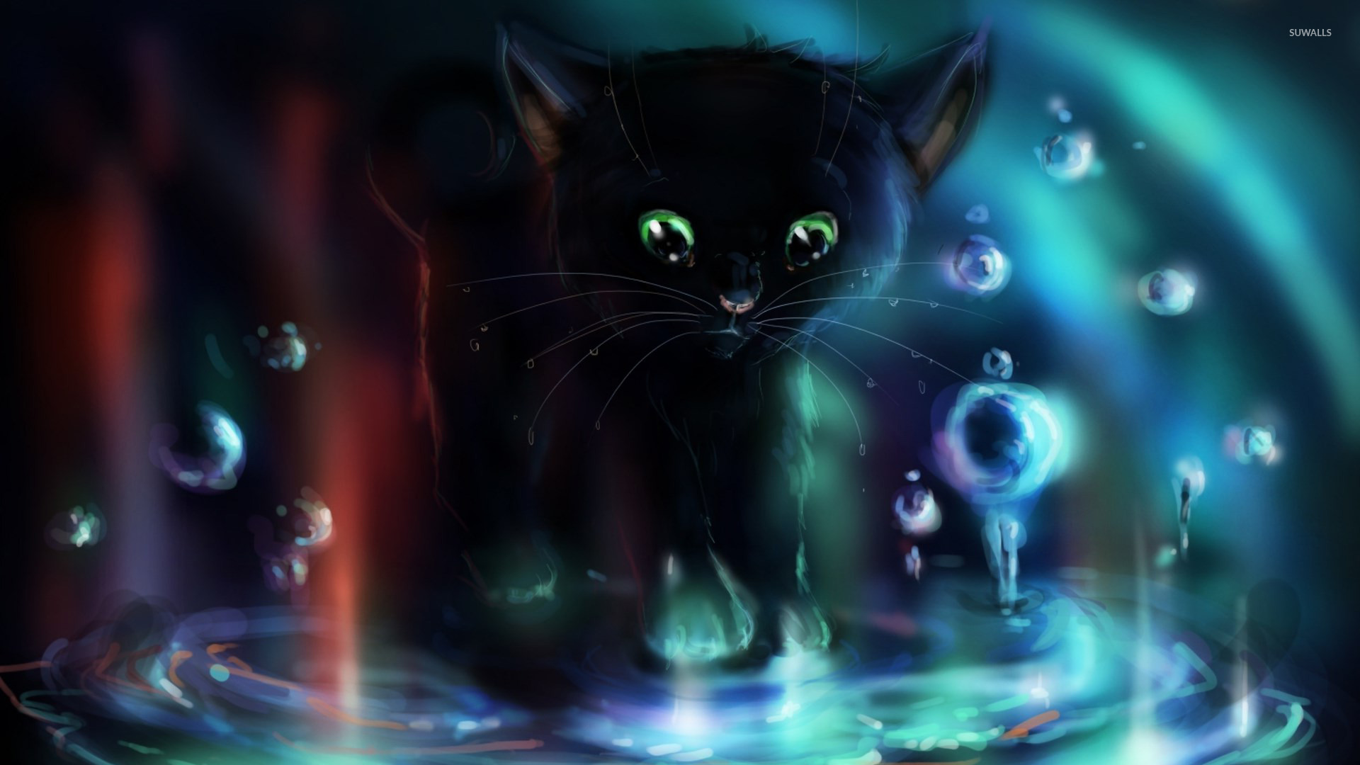 Black Kitten Playing In The Puddle Wallpaper Digital Art