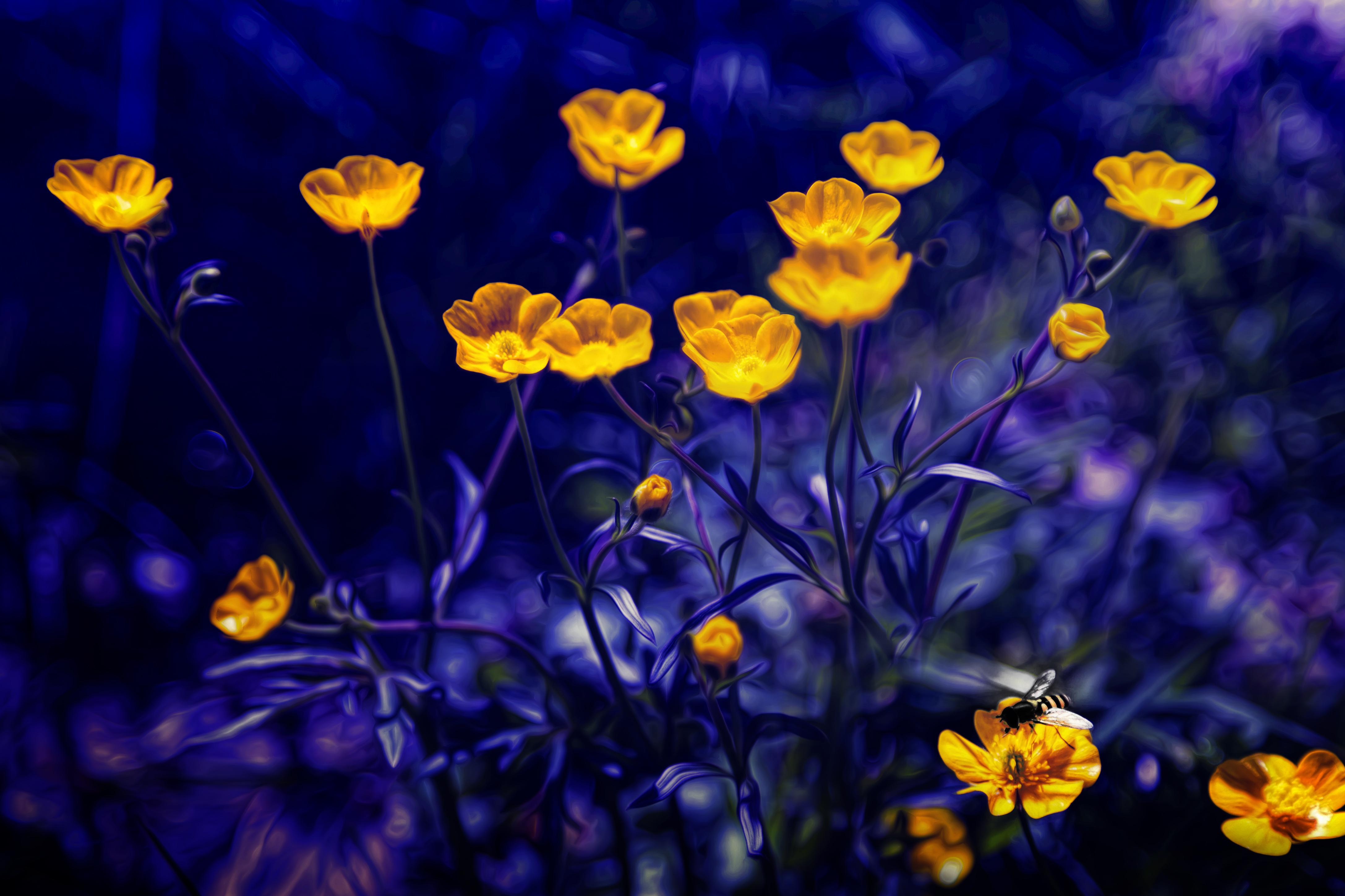 Buttercup HD Wallpaper And Background