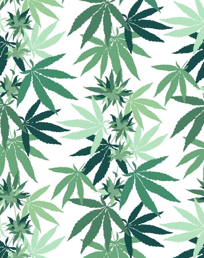Cannabis Removable Wallpaper White Wallshoppe