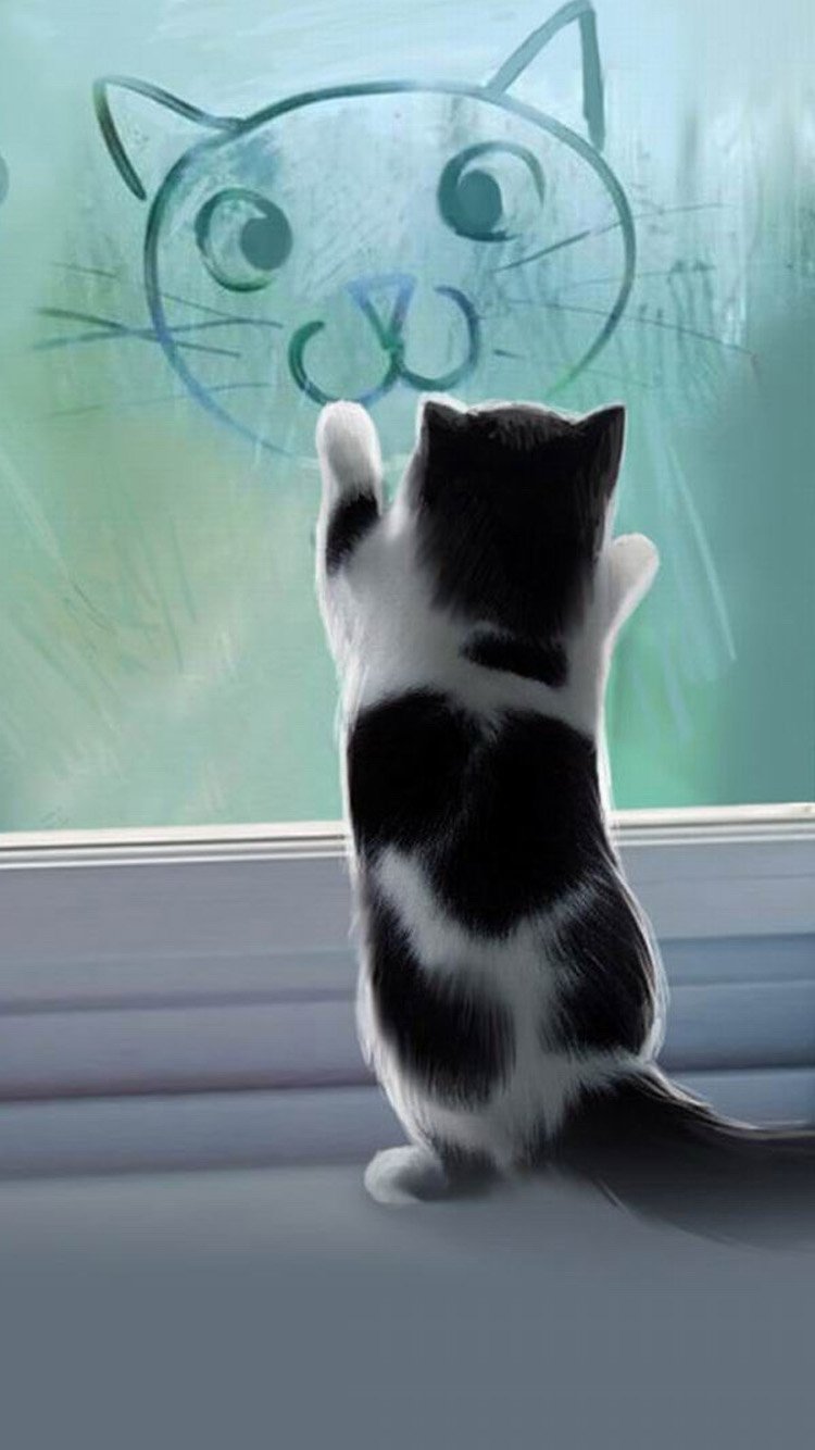 Cute Animals iPhone Wallpaper You Would Love To