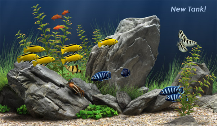 Dream Aquarium Screensaver Mac