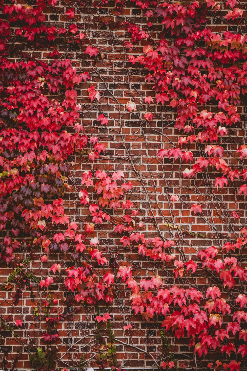 Background Brick Best Background Wall And