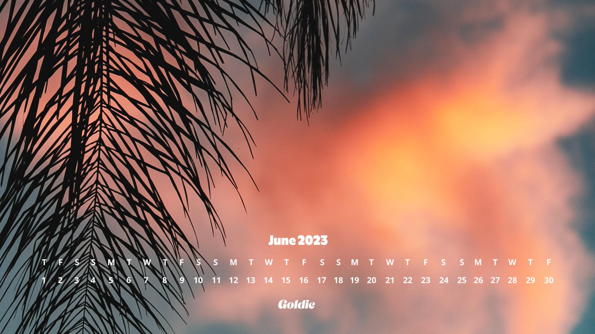  Download June Calendar Wallpaper Desktop Mobile By mlee June 2023 