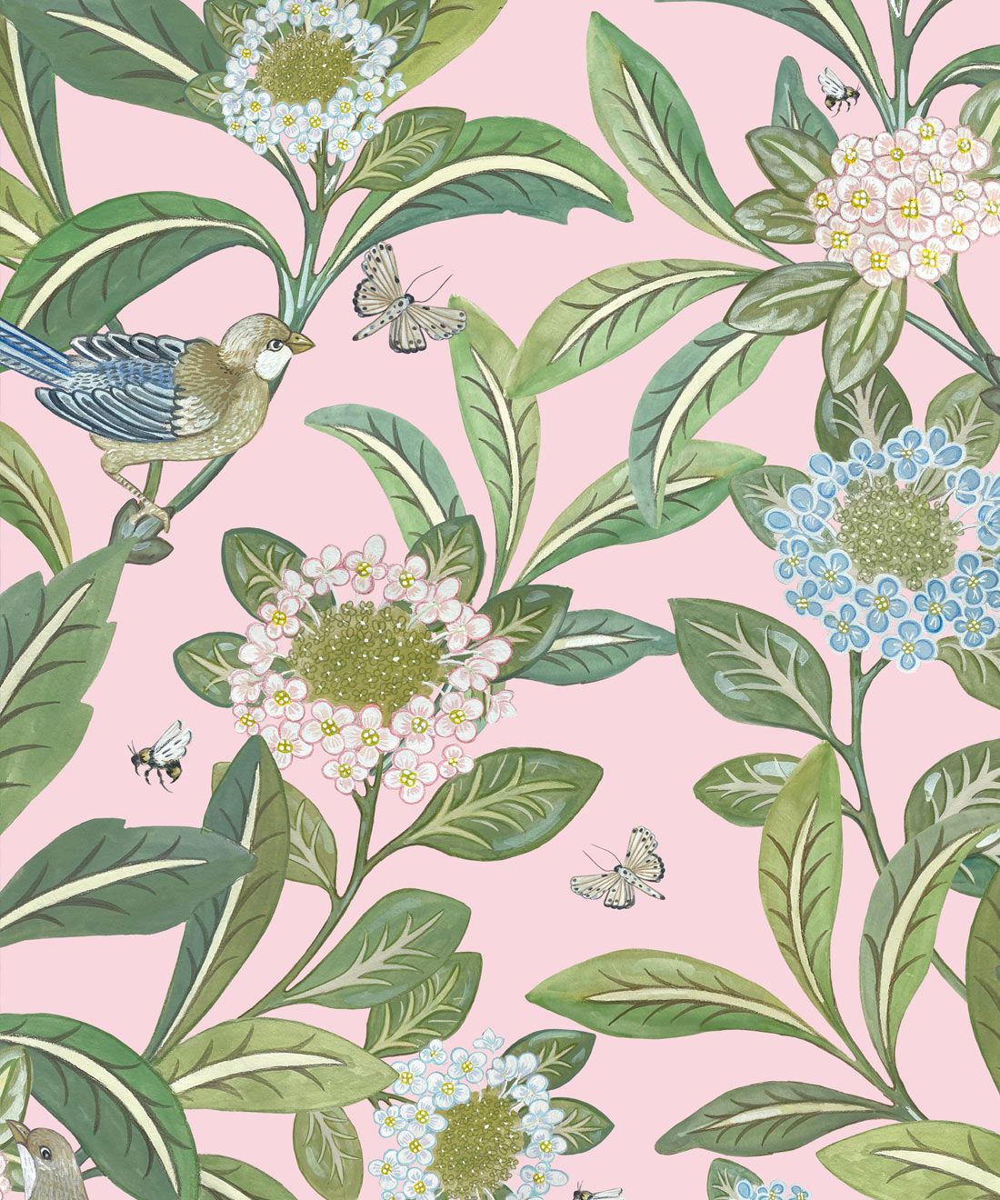Iris Wallpaper Floral Botanical Milton King Usa