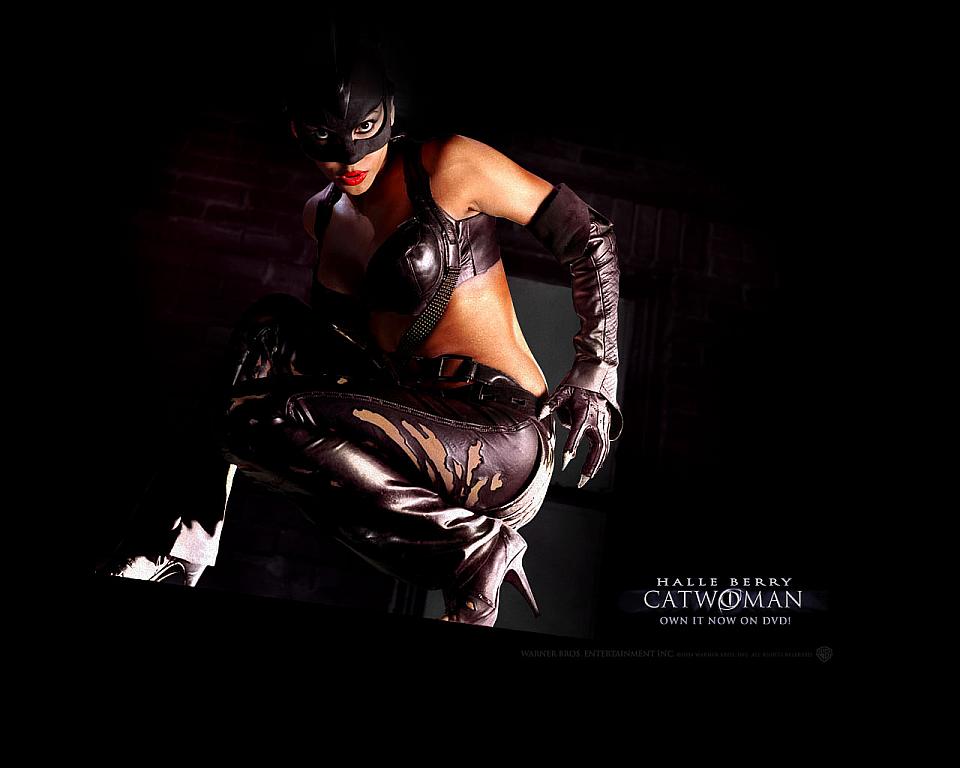 Halle Berry Catwoman Movie Pictures