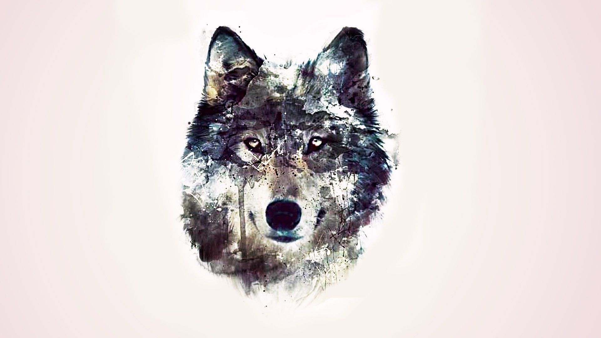 Wolf drawing wallpaper   1207808