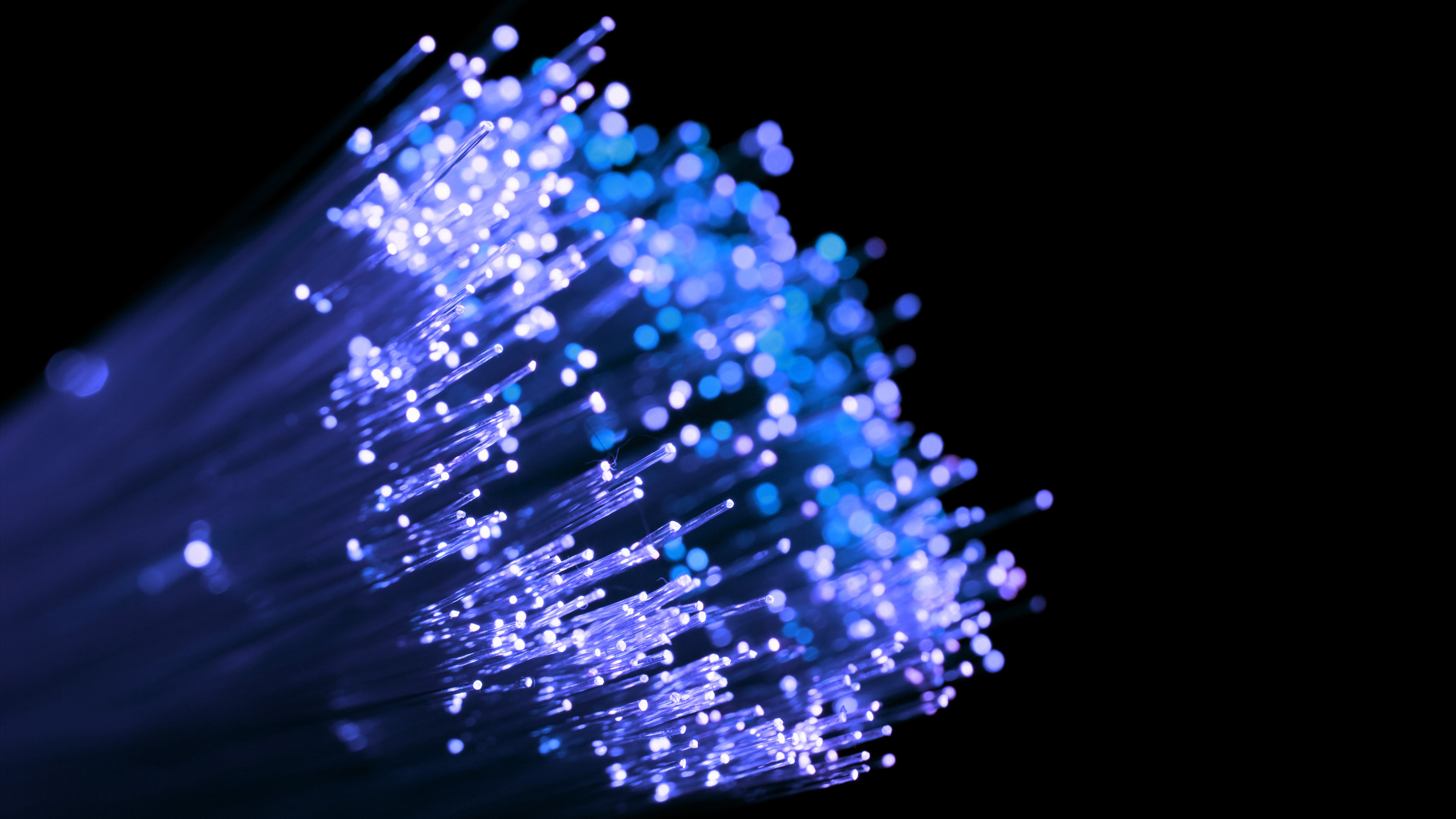 HD Optic Fiber Cables Purple Wallpaper