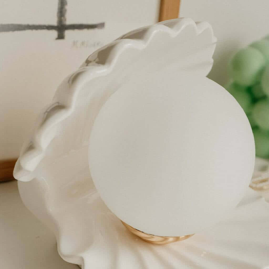 Image A Beautiful Clam Shell Wallpaper