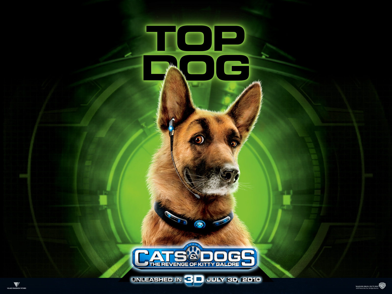 Wallpaper Picture Of Diggs The Dog From Movie Cats And Dogs