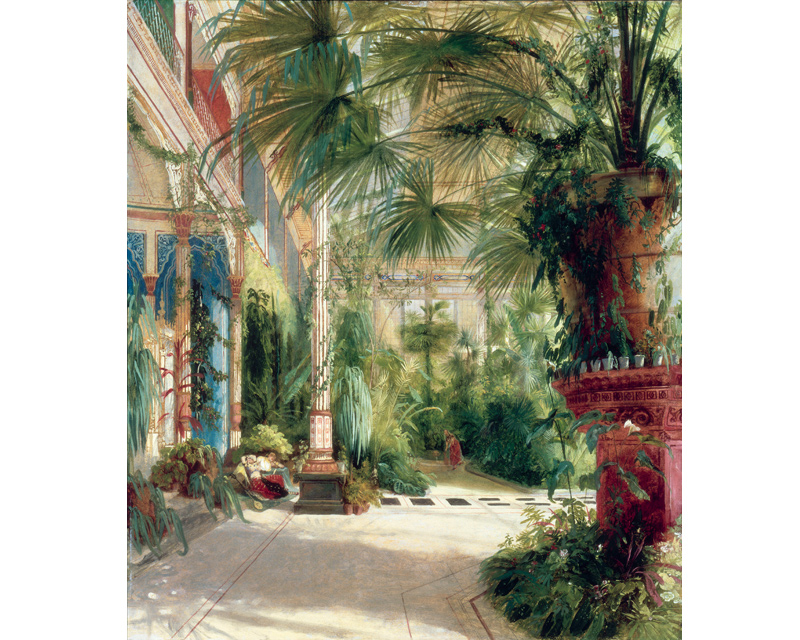 Scenic Wallpaper Palm Grove Papiers De Paris