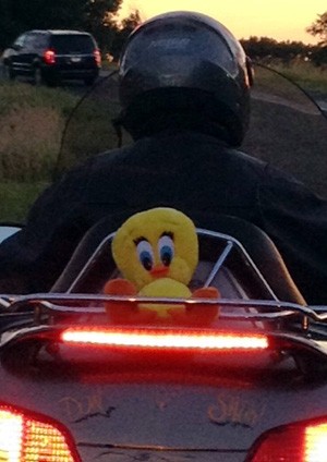 Easyrider E1374719080368 Wallpaper