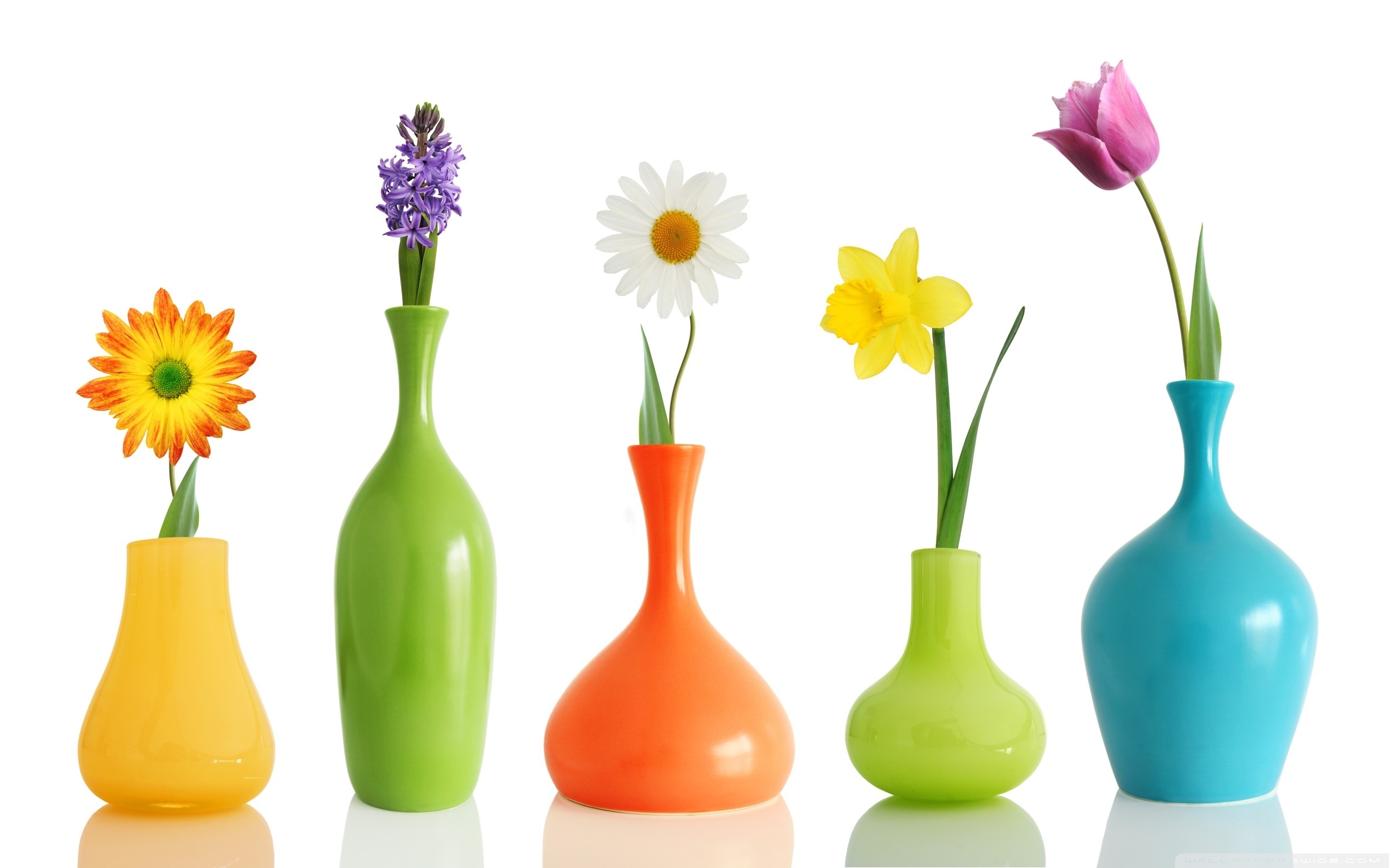 Flower Vases Can Bring Elegance In Your Home If Chosen Correctly