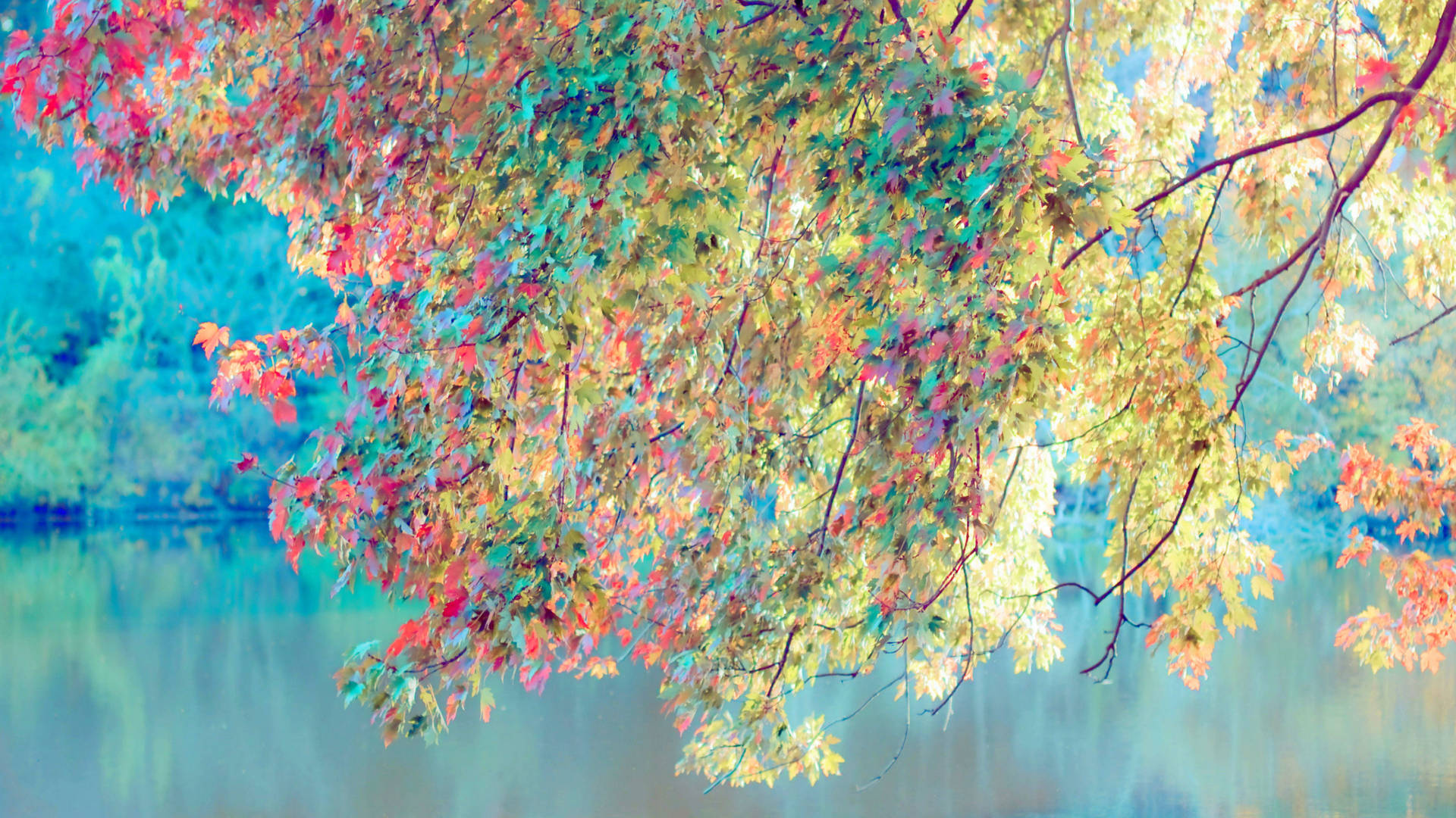 Autumn Leaves Art E2d9ip3zyqazfxeh Wallpaper