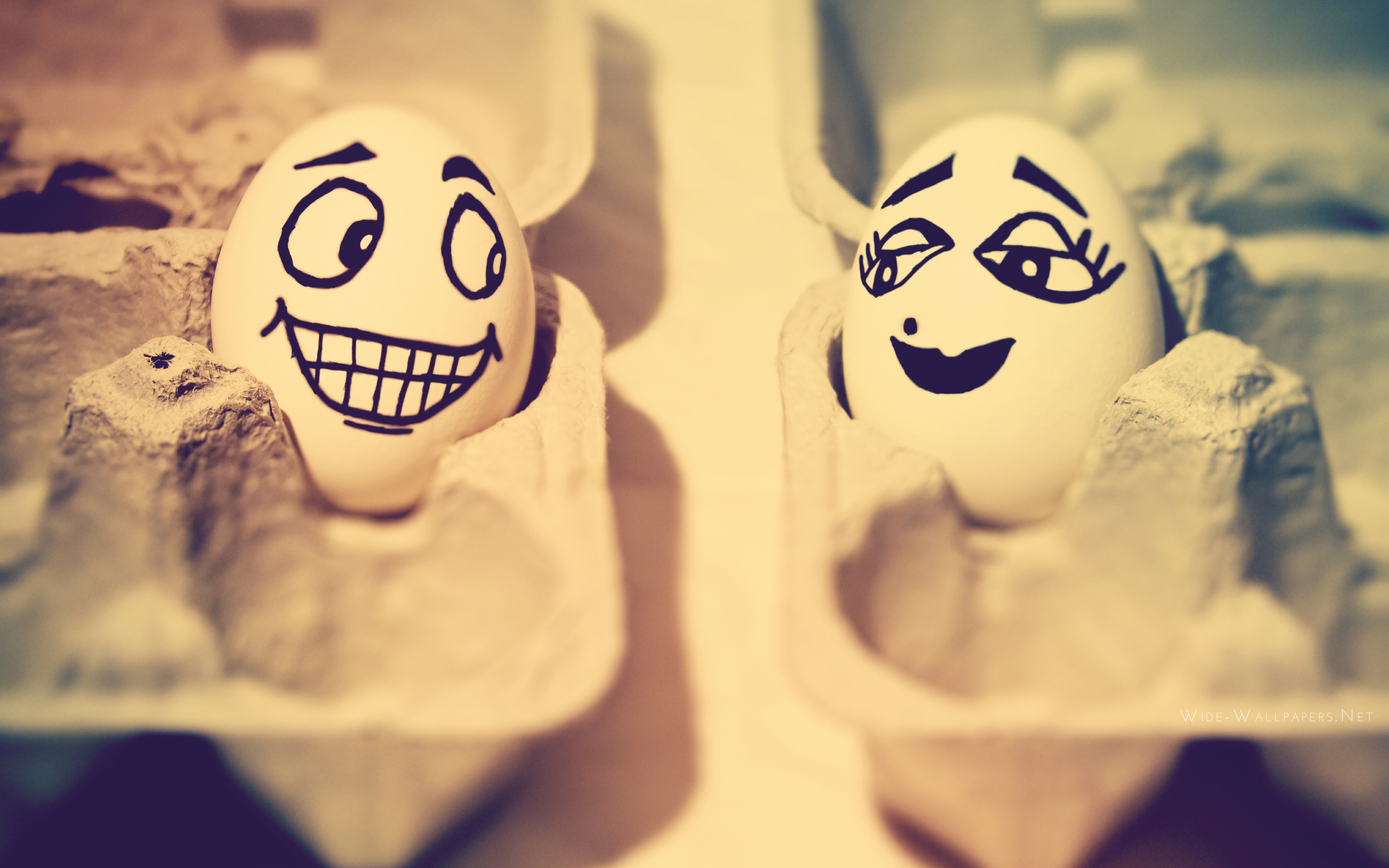 Egg Love Funny Faces Happy Easter Widescreen Wallpaper Wide