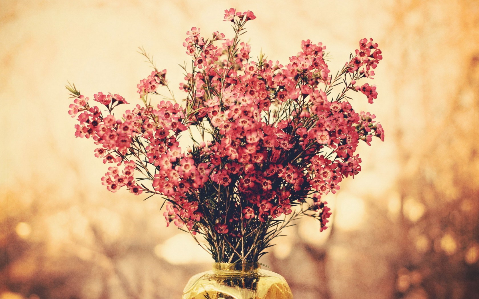 2,408,900+ Bunch Of Flowers Stock Photos, Pictures & Royalty-Free Images -  iStock | Giving a bunch of flowers, Bunch of flowers isolated, Bunch of  flowers white background