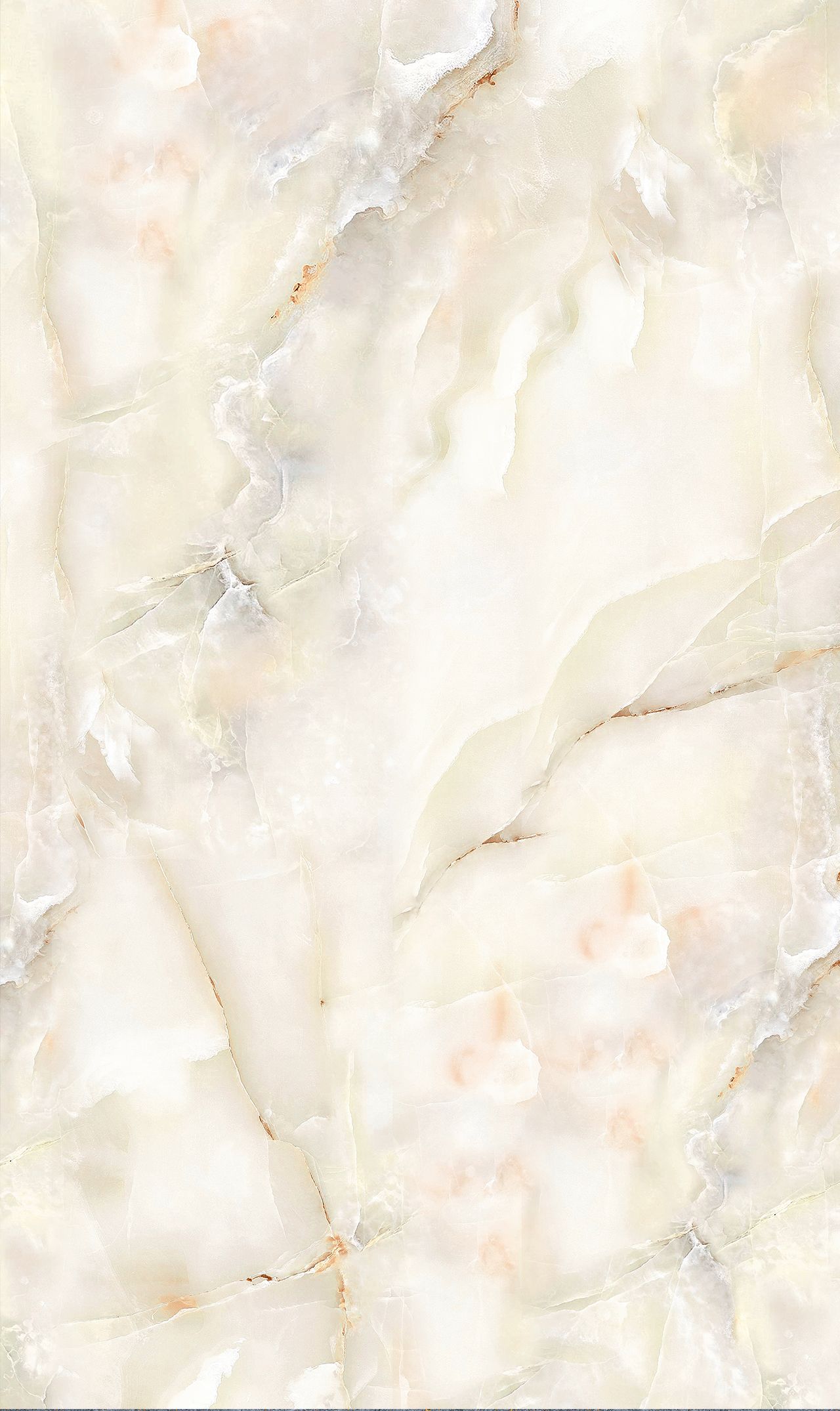 C Ariana On iPhone Icons Wallpaper