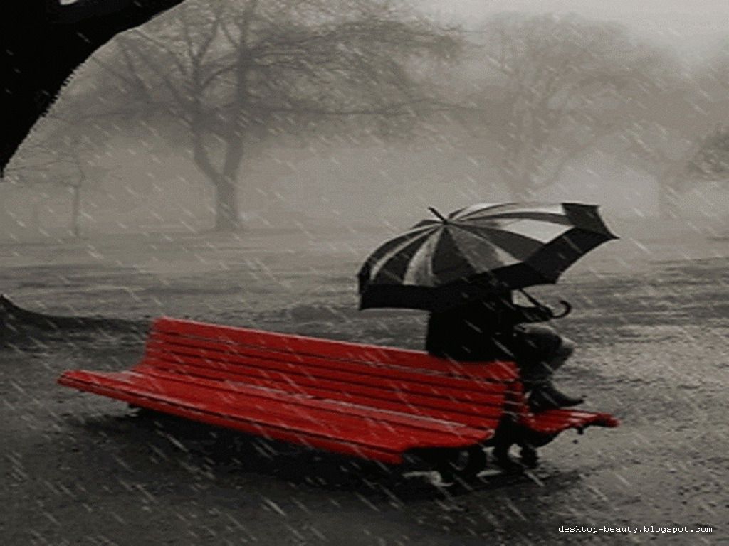 Beautiful Rain Wallpaper For Desktop Background Image Picture