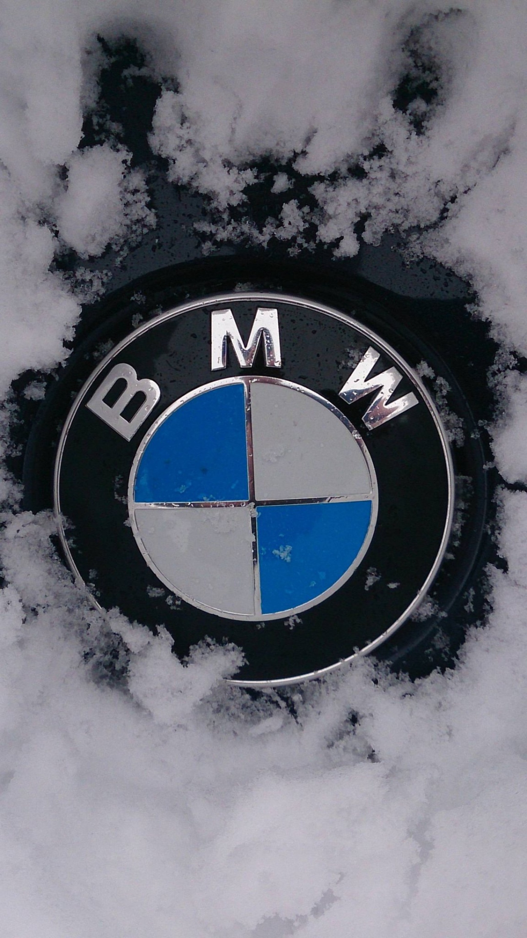 BMW Logo in the Snow