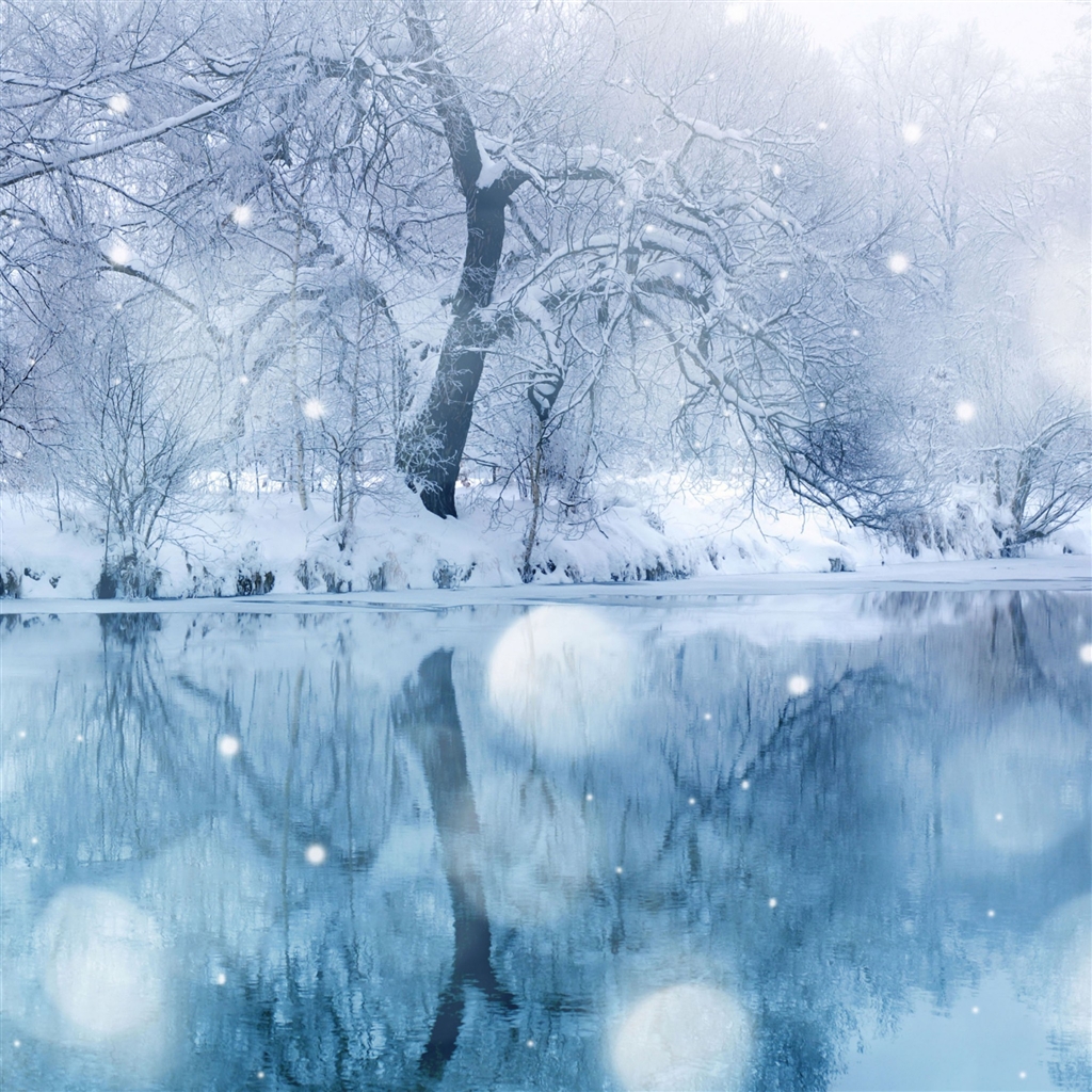 Winter Snowfall iPad Air Wallpaper iPhone