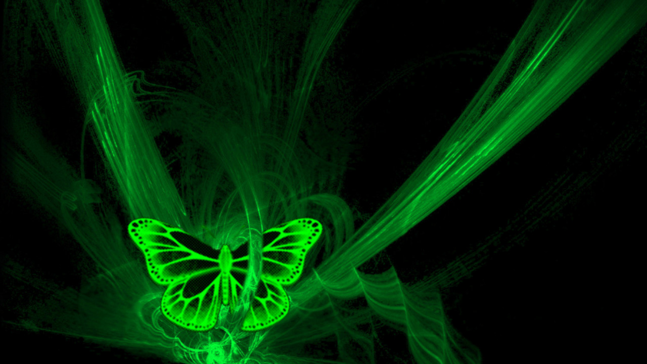 Phosphorescent Green Butterfly Wallpaper Trend
