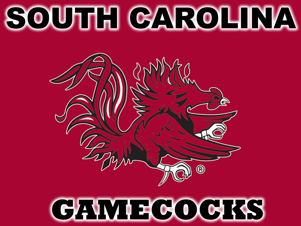 South Carolina Gamecocks 1024x768