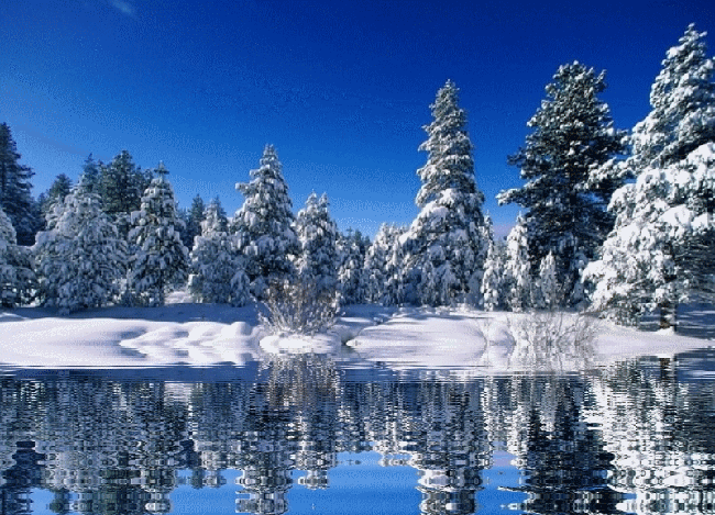 com download Snow Nature and landscapes Animated gifs wallpapers 650x469