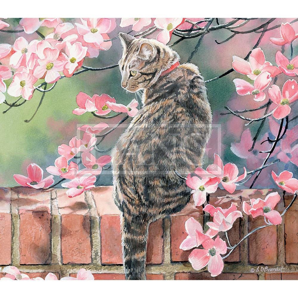 Cats In The Country Desktop Wallpaper Calendars