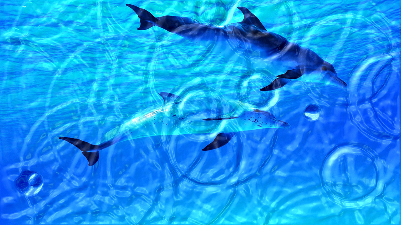 Watery Desktop 3d Animated Wallpaper Screensaver