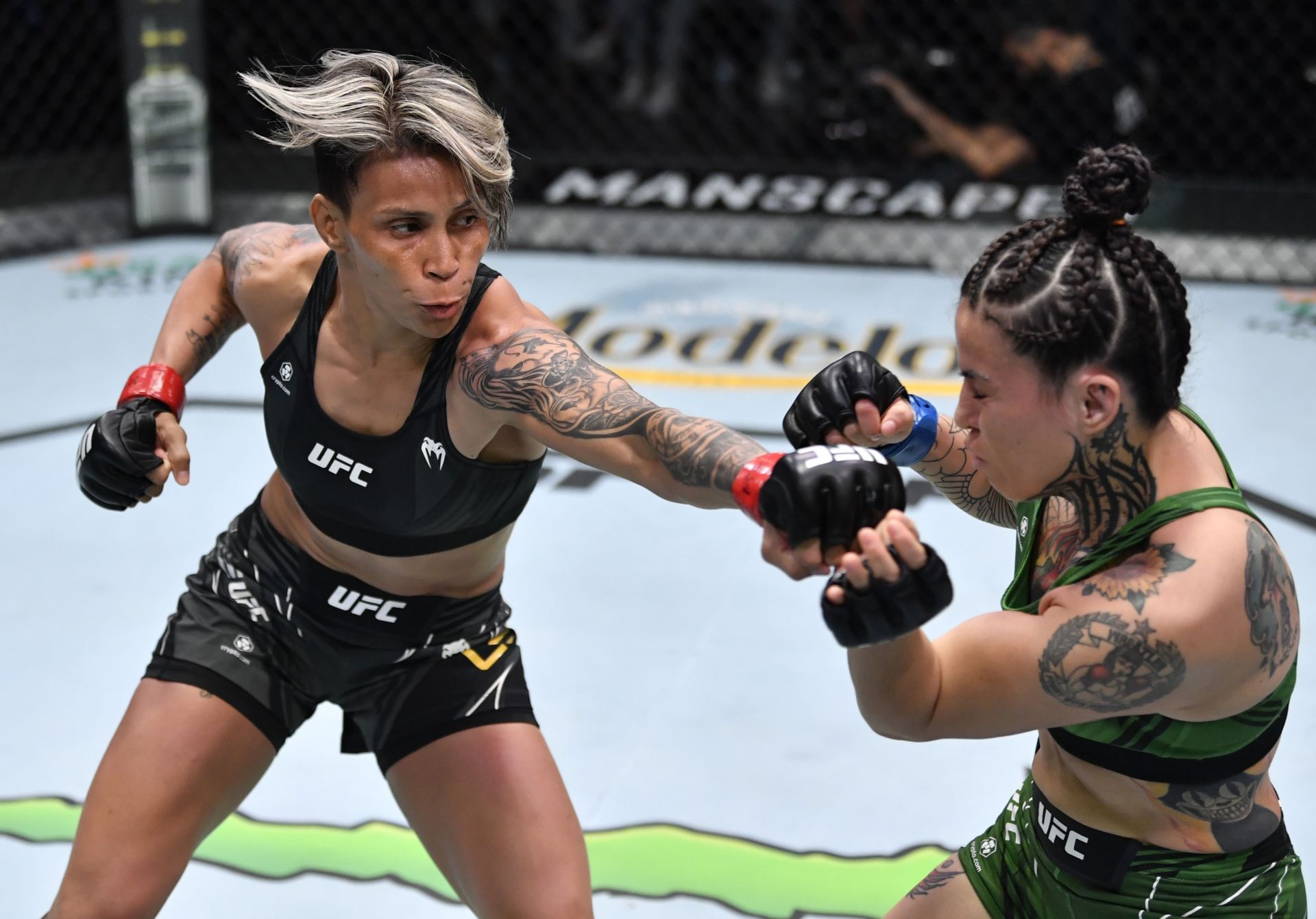 Amanda Lemos Next Fight Wallpaper