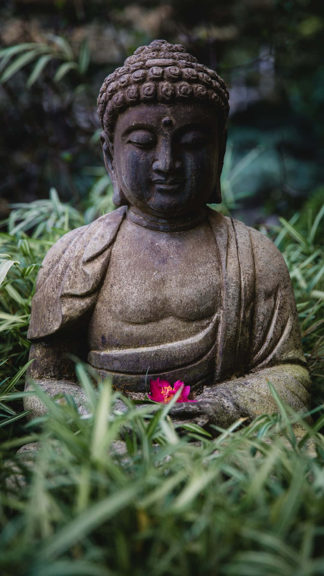 Meditation iPhone Wallpaper
