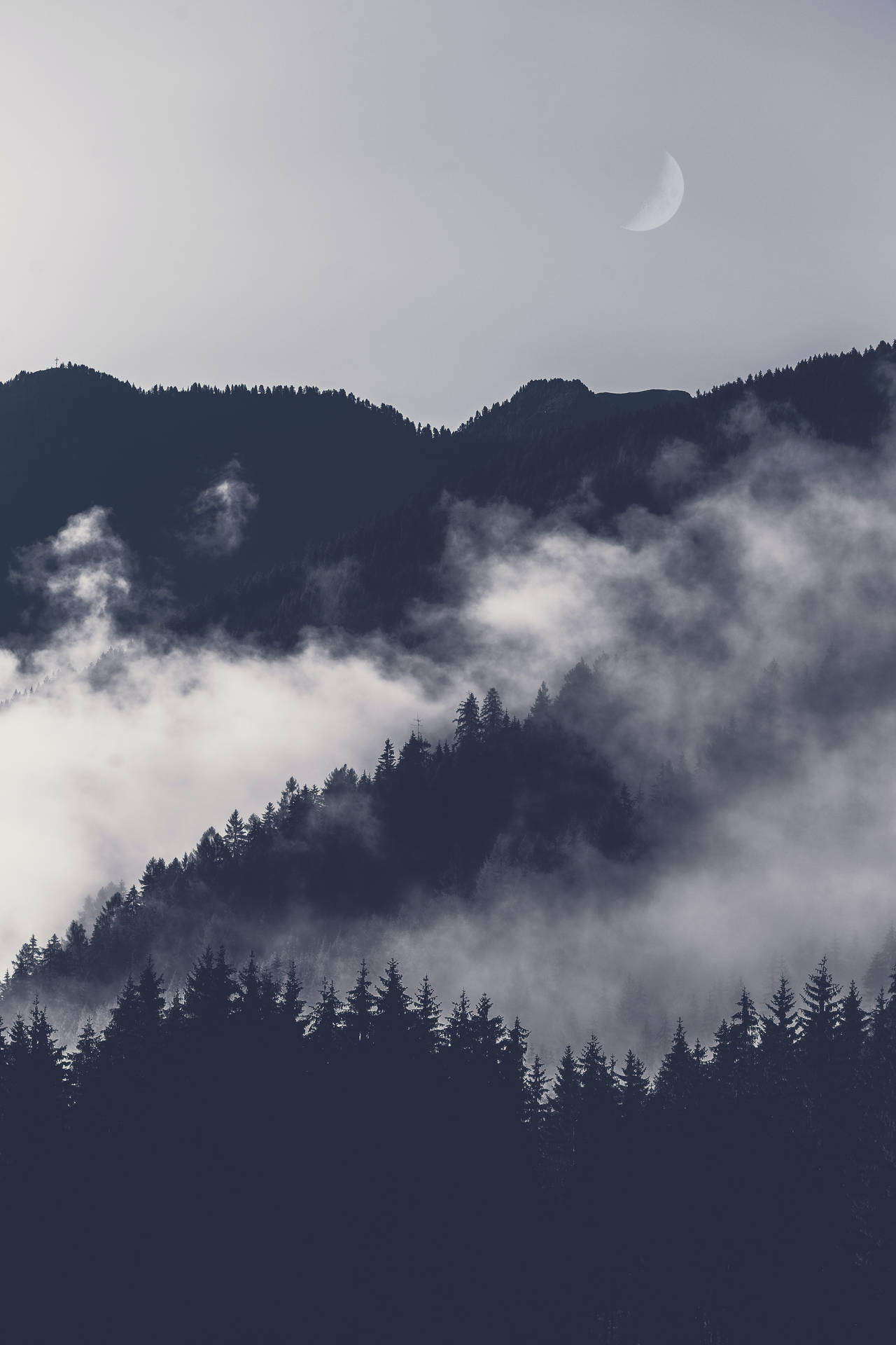 Forest Scenery For iPhone Screens Wallpaper