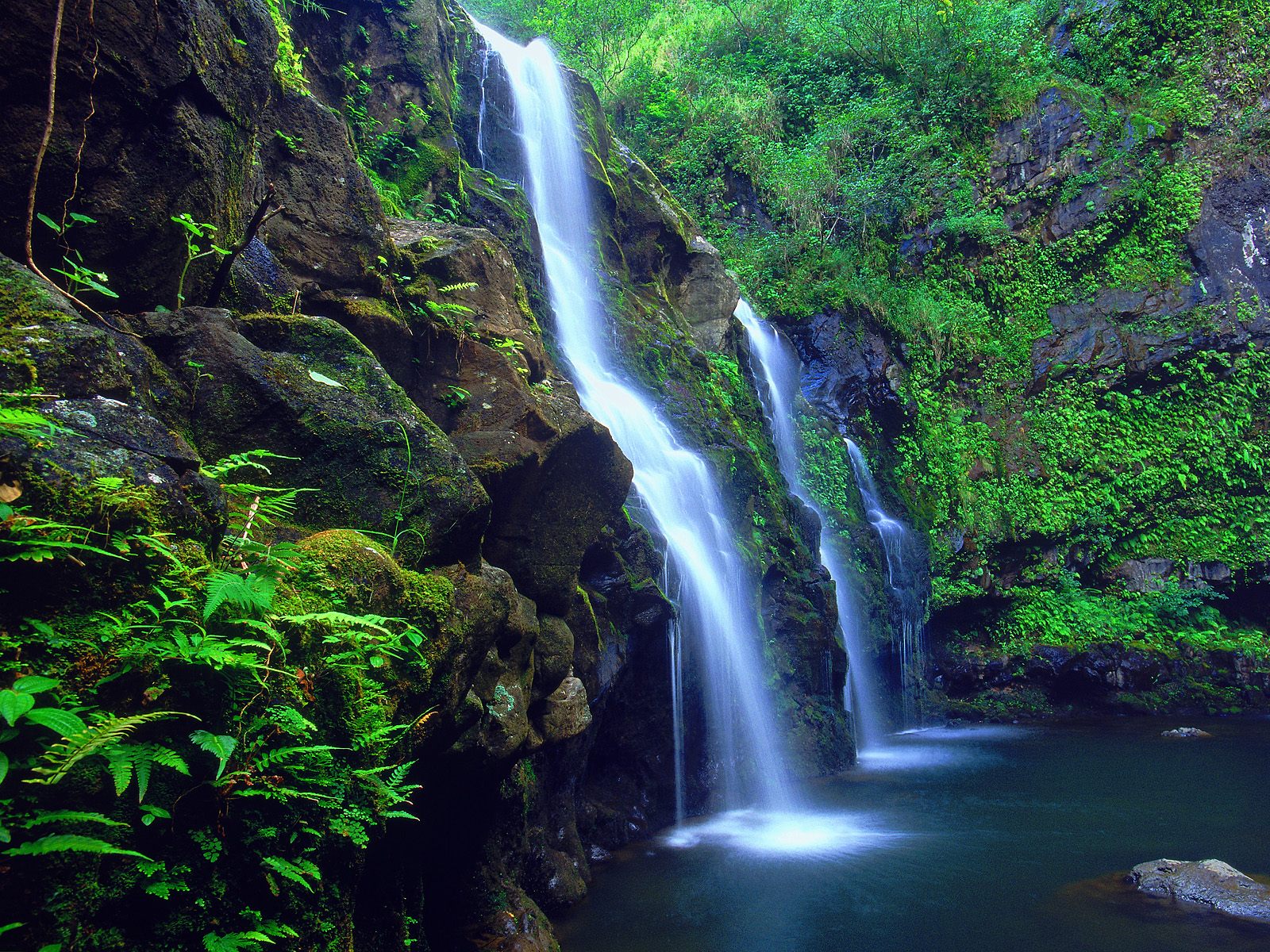  Free Download Hawaii Wallpapers Bureaublad Achtergronden Van Hawaii 