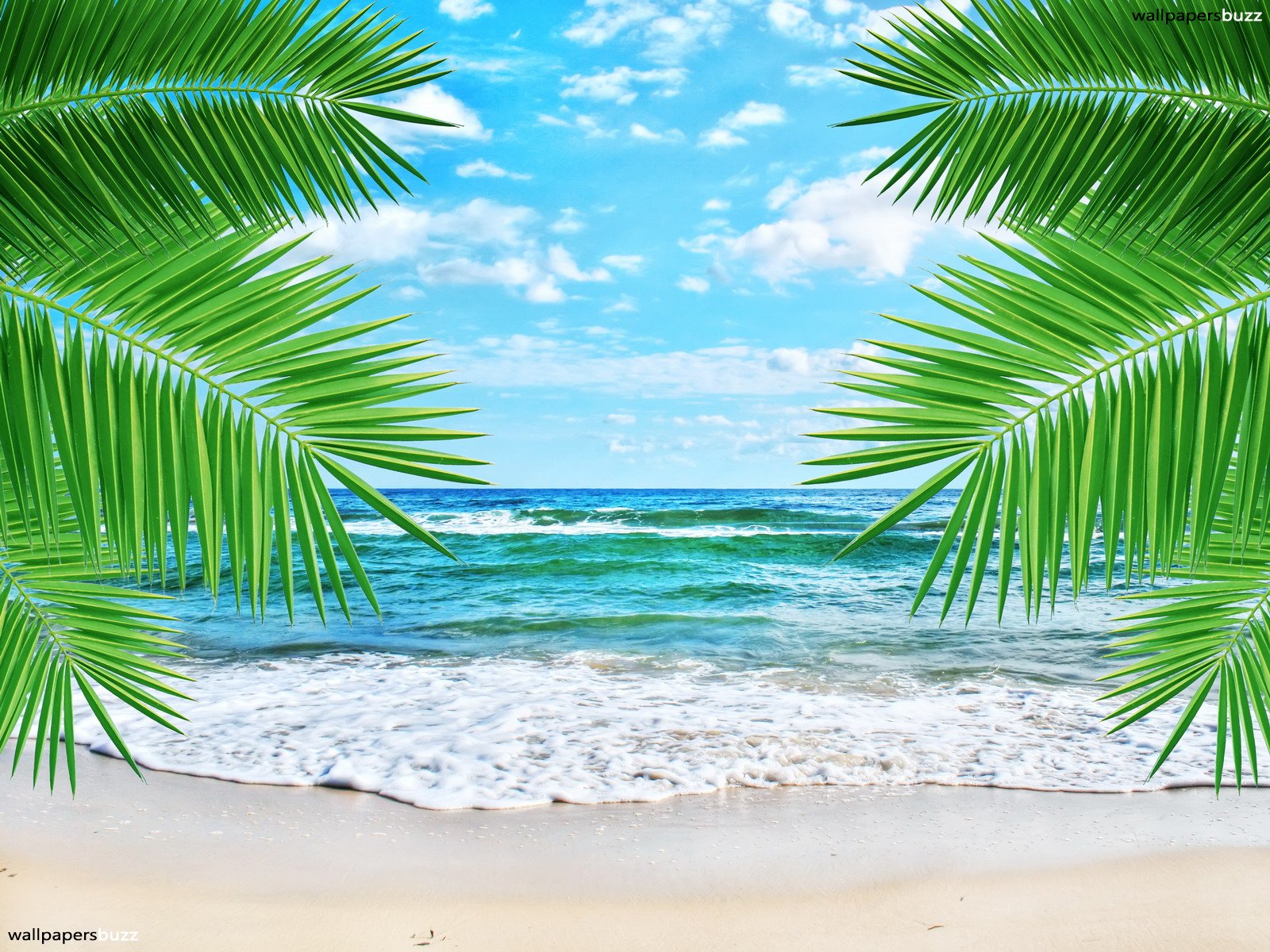 Tropical Beach Clipart Backgrounds