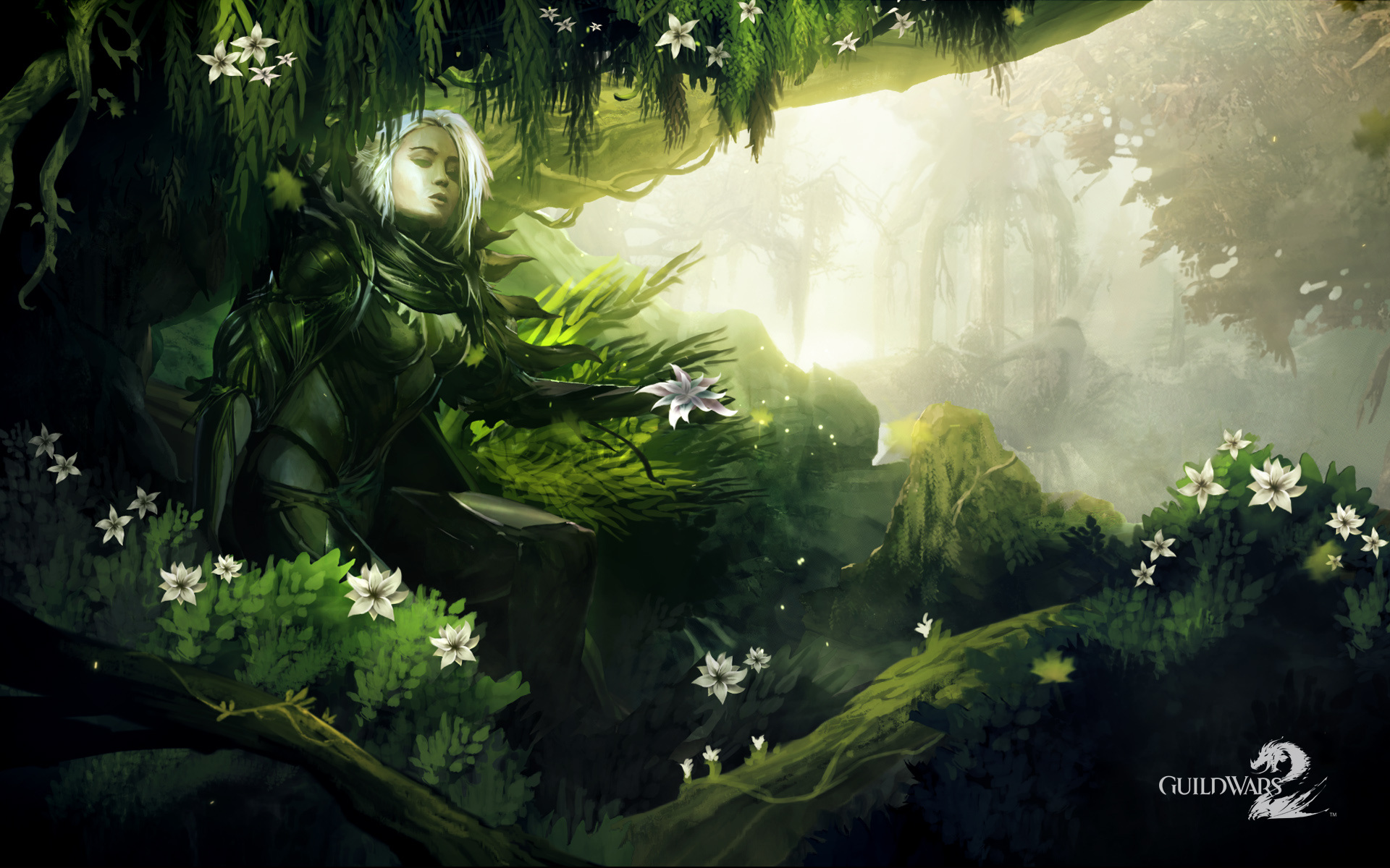 Guild Wars HD Official Wallpaper Mmorpg News Mmosite