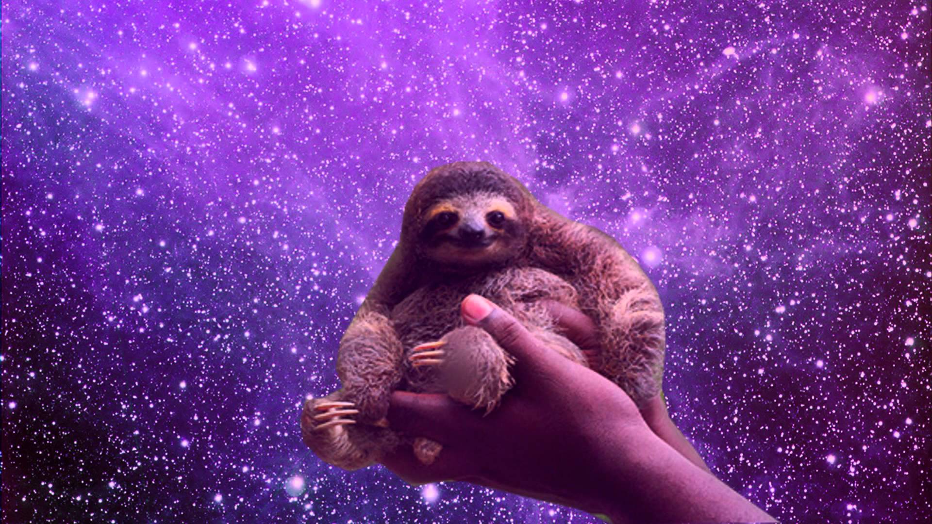 Sloths In Space