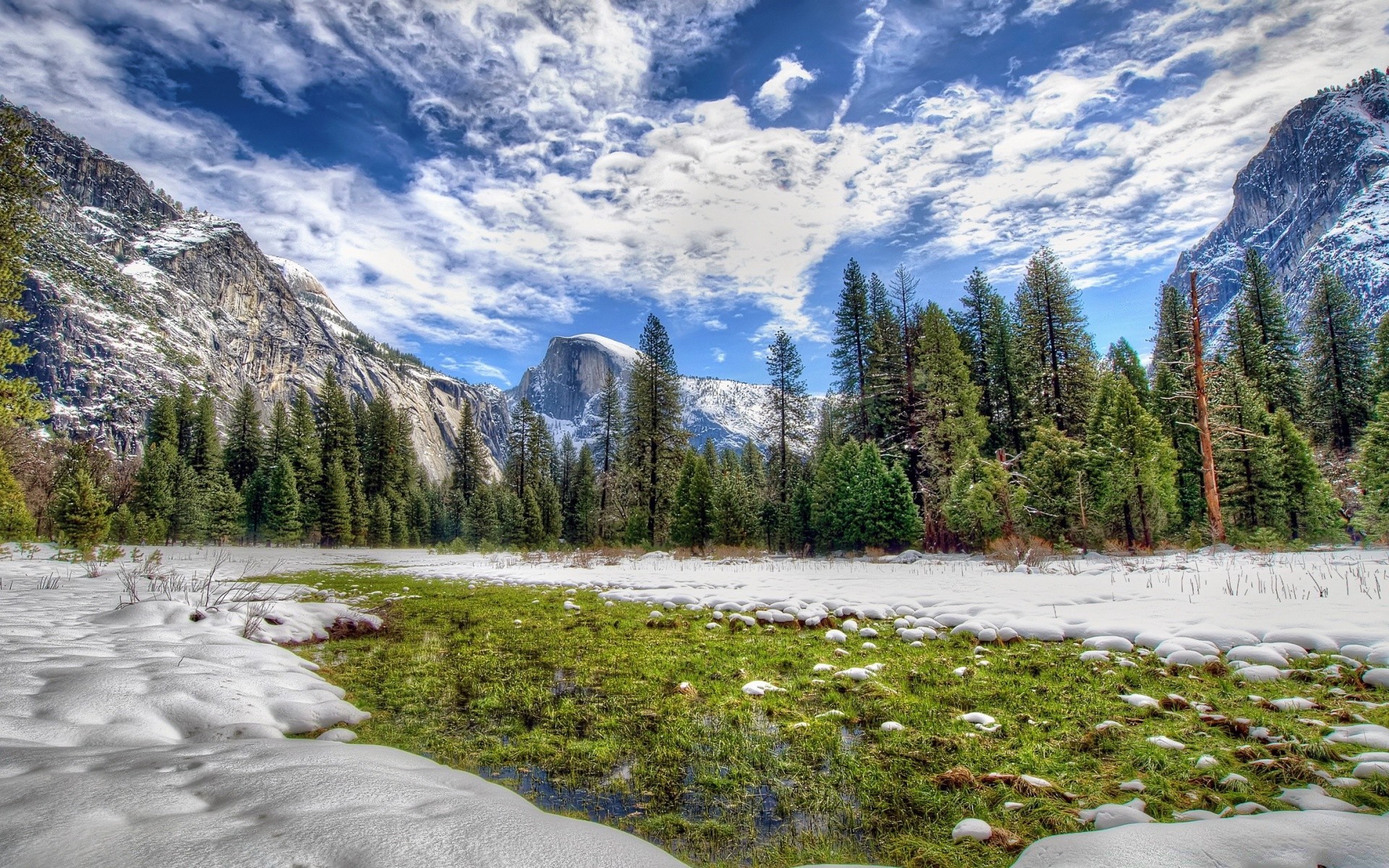 Yosemite Spring Grass Android Wallpaper