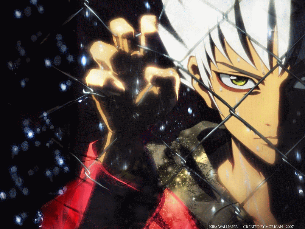 Kiba Zed Image HD Wallpaper And Background